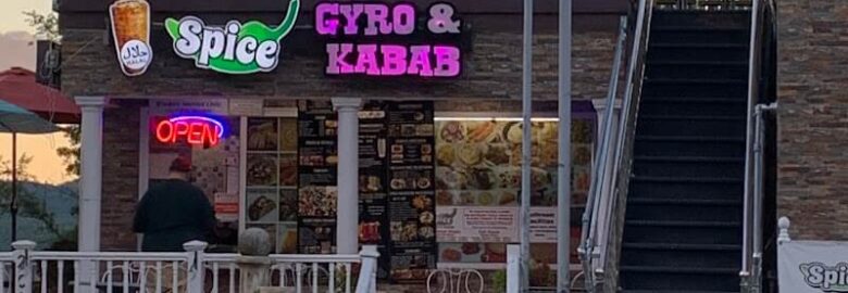 Spice Gyro and Kabob