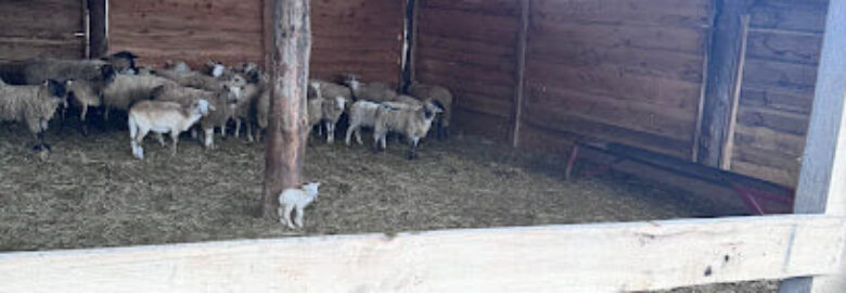 AB Halal Farm