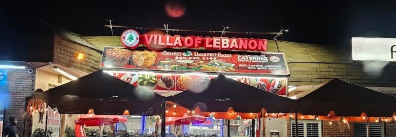 Villa Of Lebanon