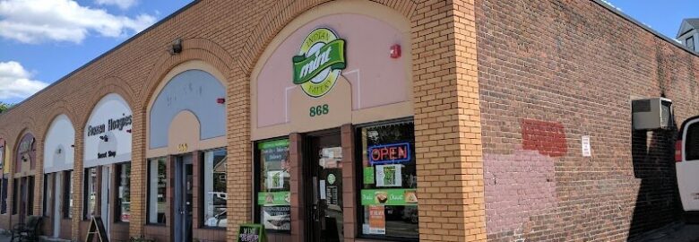 Mint Indian Eatery