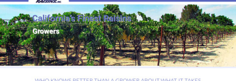 Sun Valley Raisins