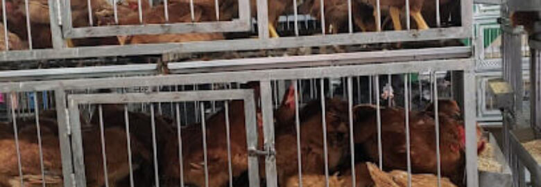 Sultan Halal Poultry