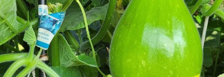 Farm Fresh Halal Produces