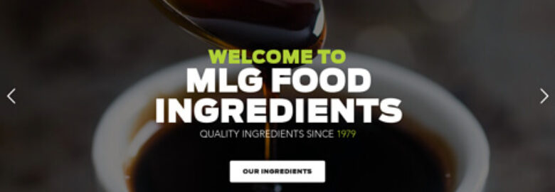 MLG Enterprises Inc