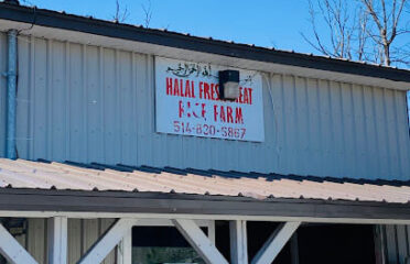 Halal meat wholesale