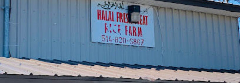 Halal meat wholesale