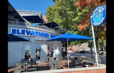 Elevation Burger