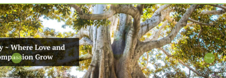 Muslim Family Foundation (MFF)