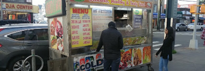 Madina Halal food Cart