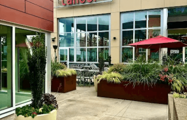 Tanoor Lebanese Grill