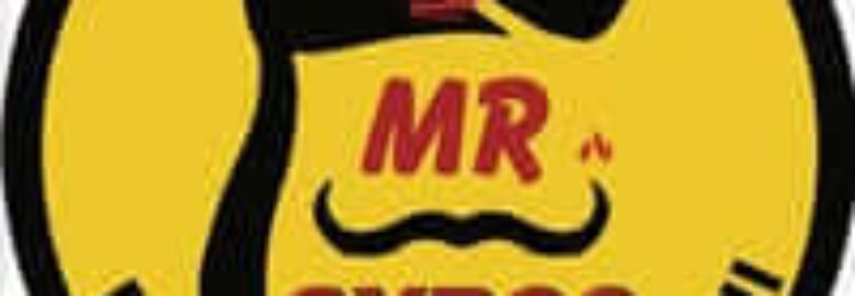 Mr. Gyros