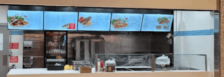 Pita Lite Shawarma