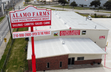 Alamo Farms